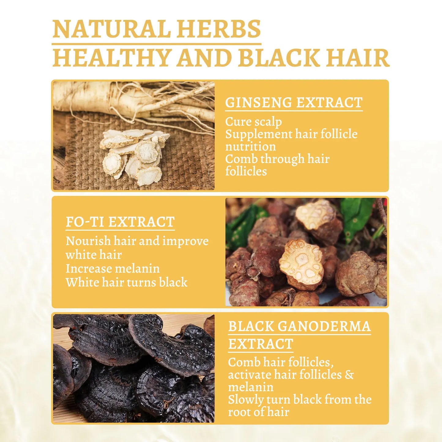 South Moon Black Ganoderma Lucidum White Black