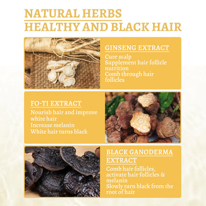 South Moon Black Ganoderma Lucidum White Black