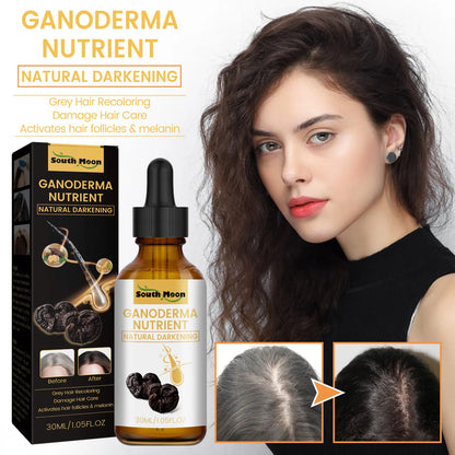 South Moon Black Ganoderma Lucidum White Black
